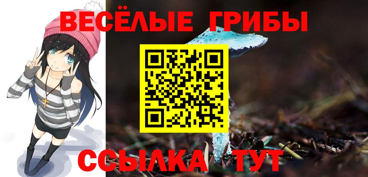 Видное  Псилоцибиновые грибы Psilocybe  Вход с VPN 